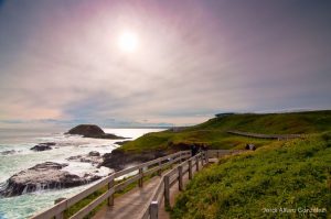 The Nobbies boardwalk