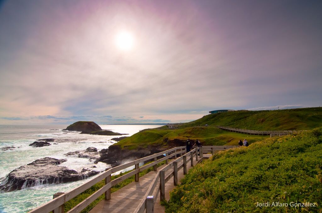 Phillip Island Afternoon Tour Phillip Island Afternoon Tour